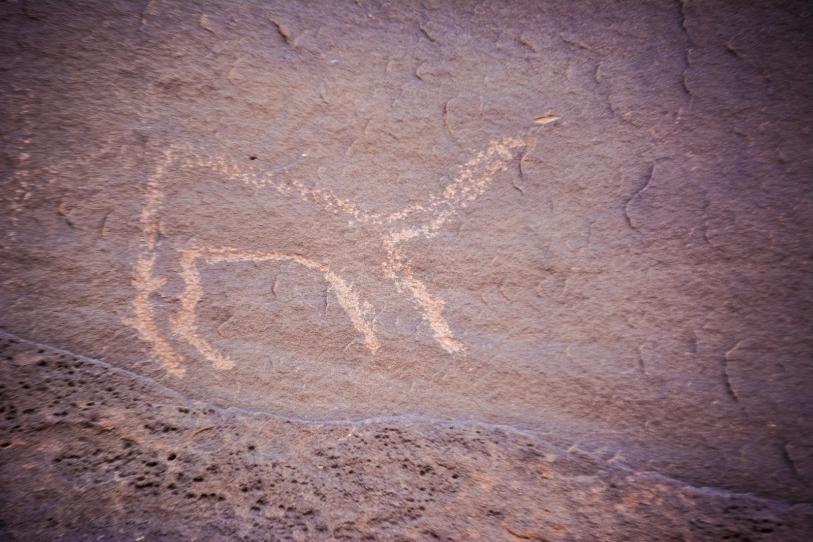 Motif d’oiseau gravé dans la roche à Smail Laouedj, dans la région de Tiout.