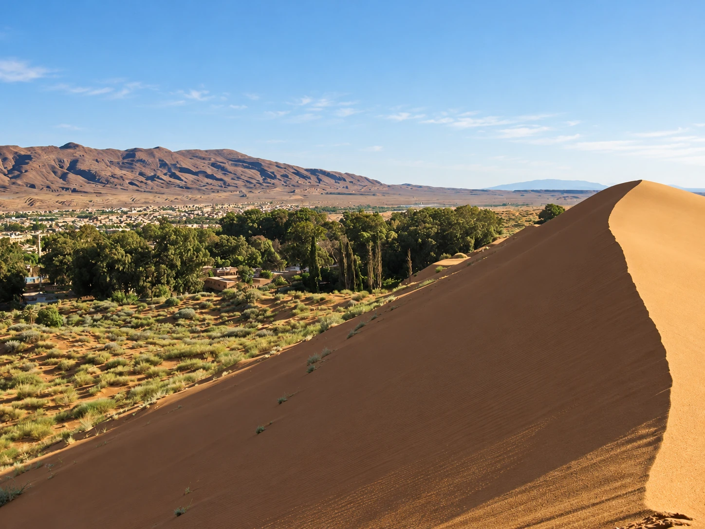 Crête de dune devant les arbres, la ville et les reliefs d’Aïn Sefra.