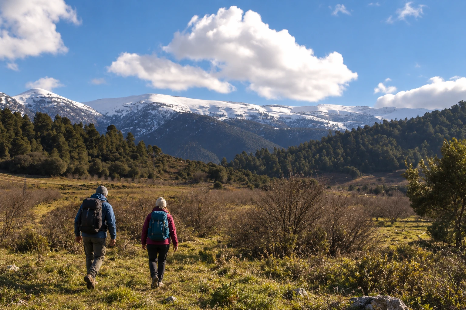 Deux marcheurs devant les cèdres et les crêtes enneigées du djebel Chélia.
