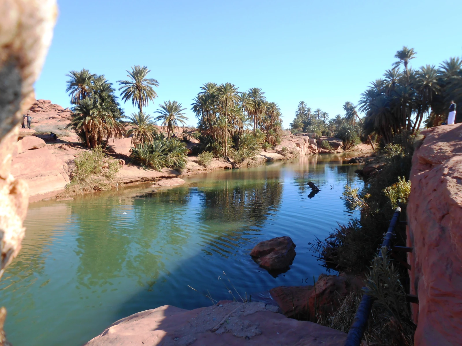 Palmeraie et plan d’eau de l’oasis de Tiout