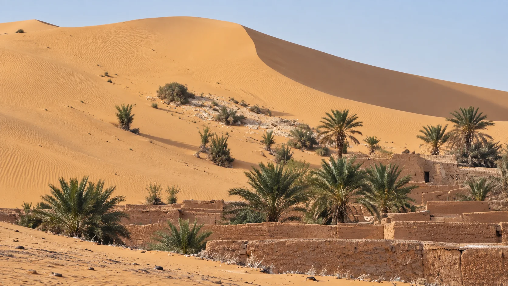 Grande dune de Béni Abbès, palmiers clairsemés et murs de terre de Tlayet.