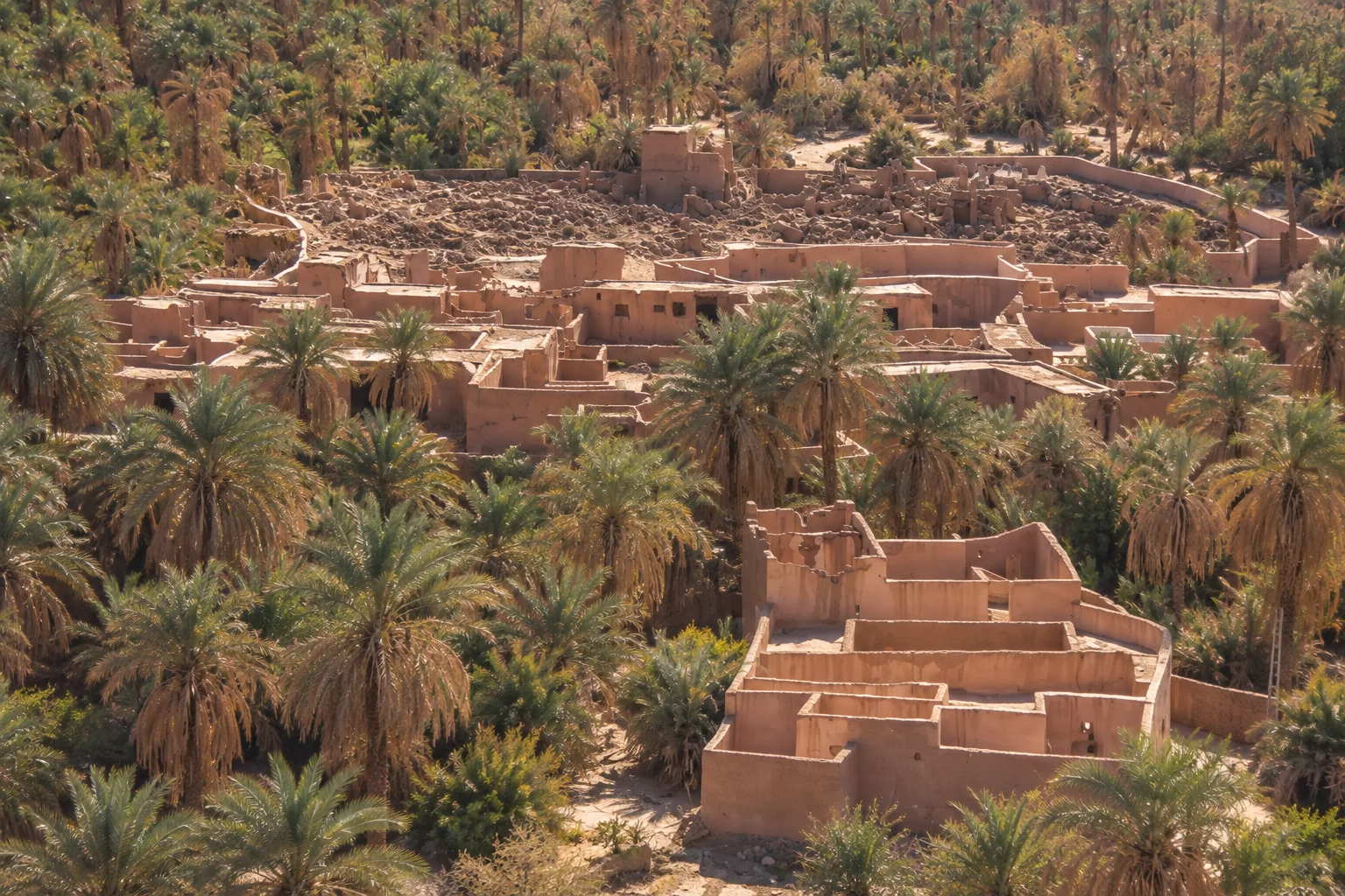 Illustration assistée par IA : Bâtiments de terre ocre du vieux ksar de Béni Abbès parmi les palmiers dattiers de l'oasis.