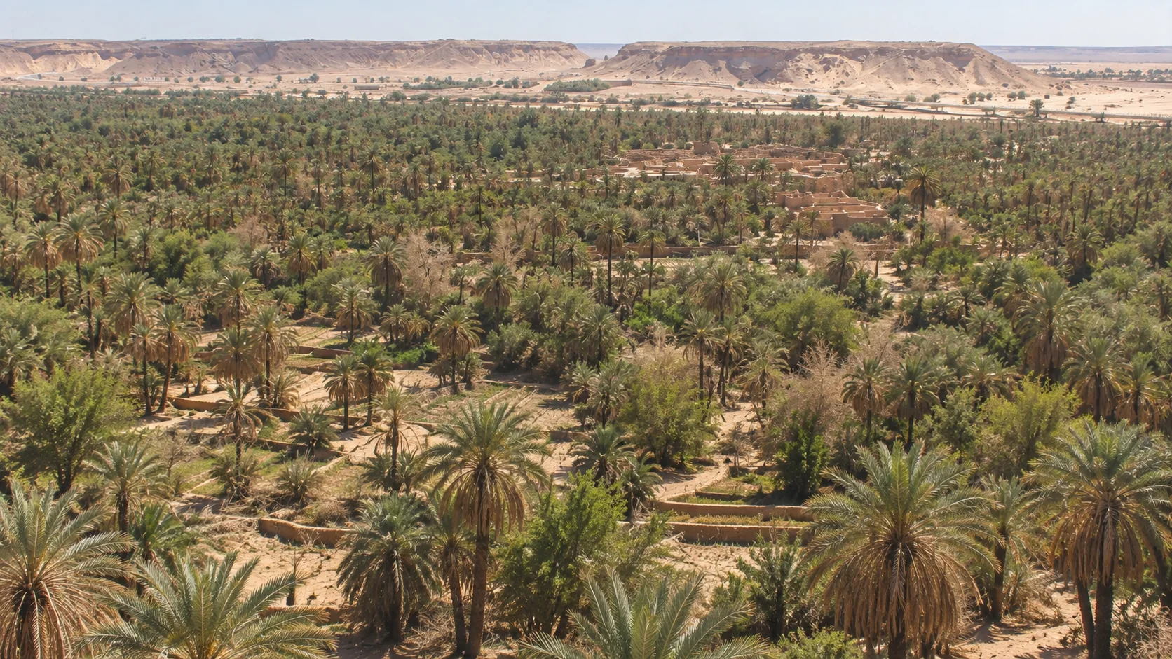Vue large de la palmeraie de Béni Abbès et de la terrasse désertique au-delà.