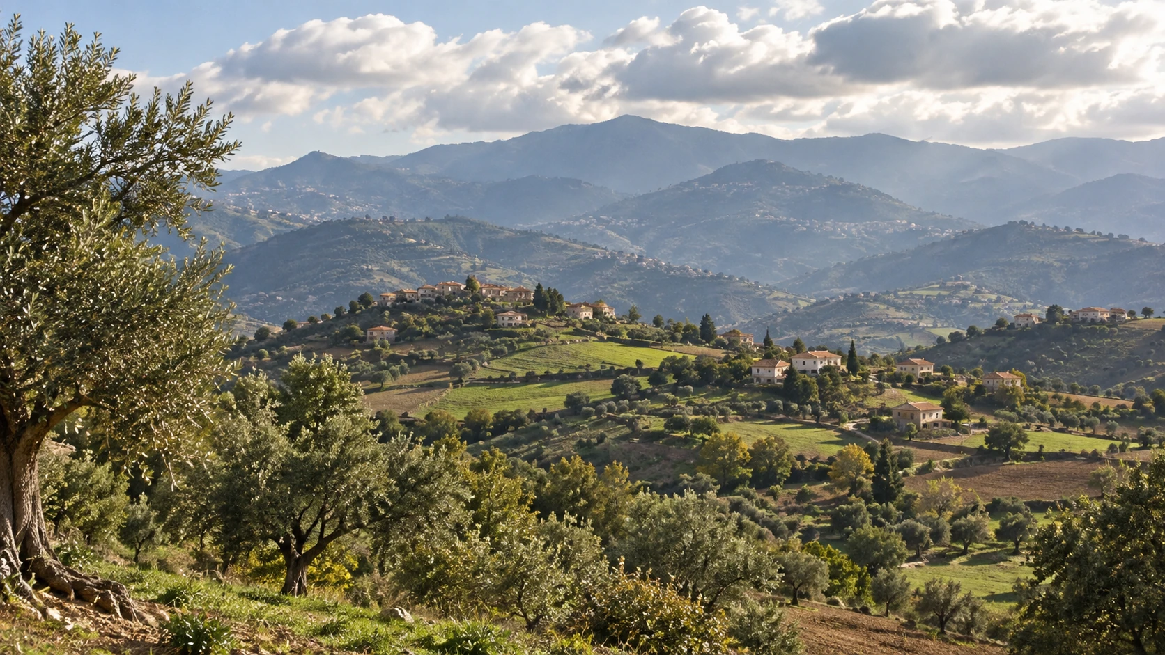 Illustration assistée par IA : Oliviers, villages et collines autour de Souamaâ en Grande Kabylie, dans la wilaya de Tizi Ouzou.