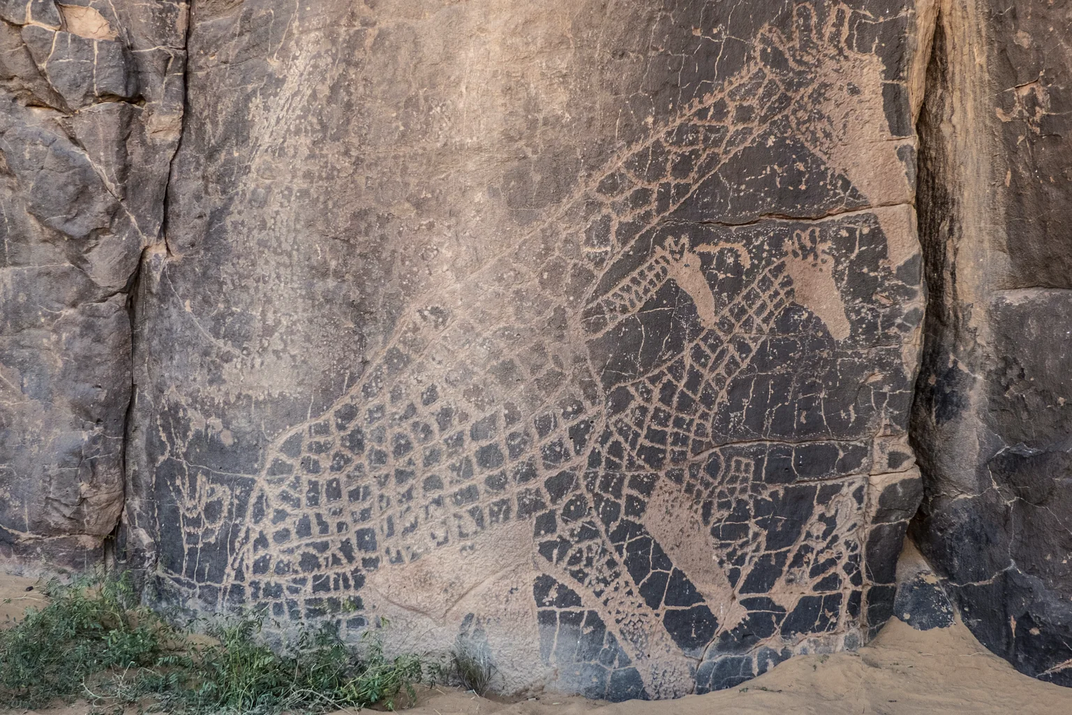 La paroi aux girafes d'In Djaren.