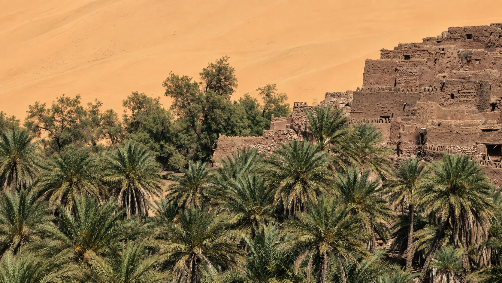 Illustration assistée par IA : Vieux ksar de Taghit derrière la palmeraie, au pied de la grande dune