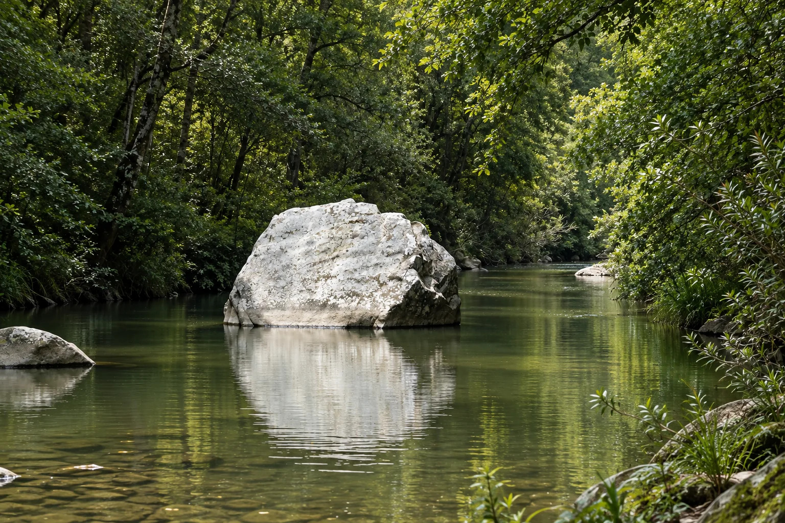 Un grand bloc pâle dans les eaux calmes de l’oued Bougous bordé de forêt.