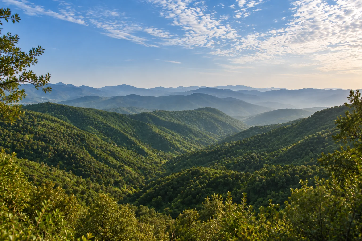 Vue des forêts du massif de Collo et de ses crêtes successives dans la wilaya de Skikda.