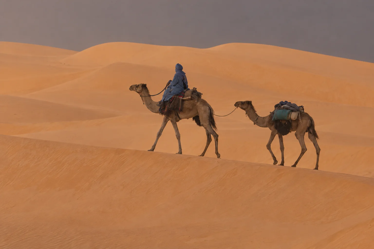 Scène de méharée dans les dunes de l'Erg Admer.