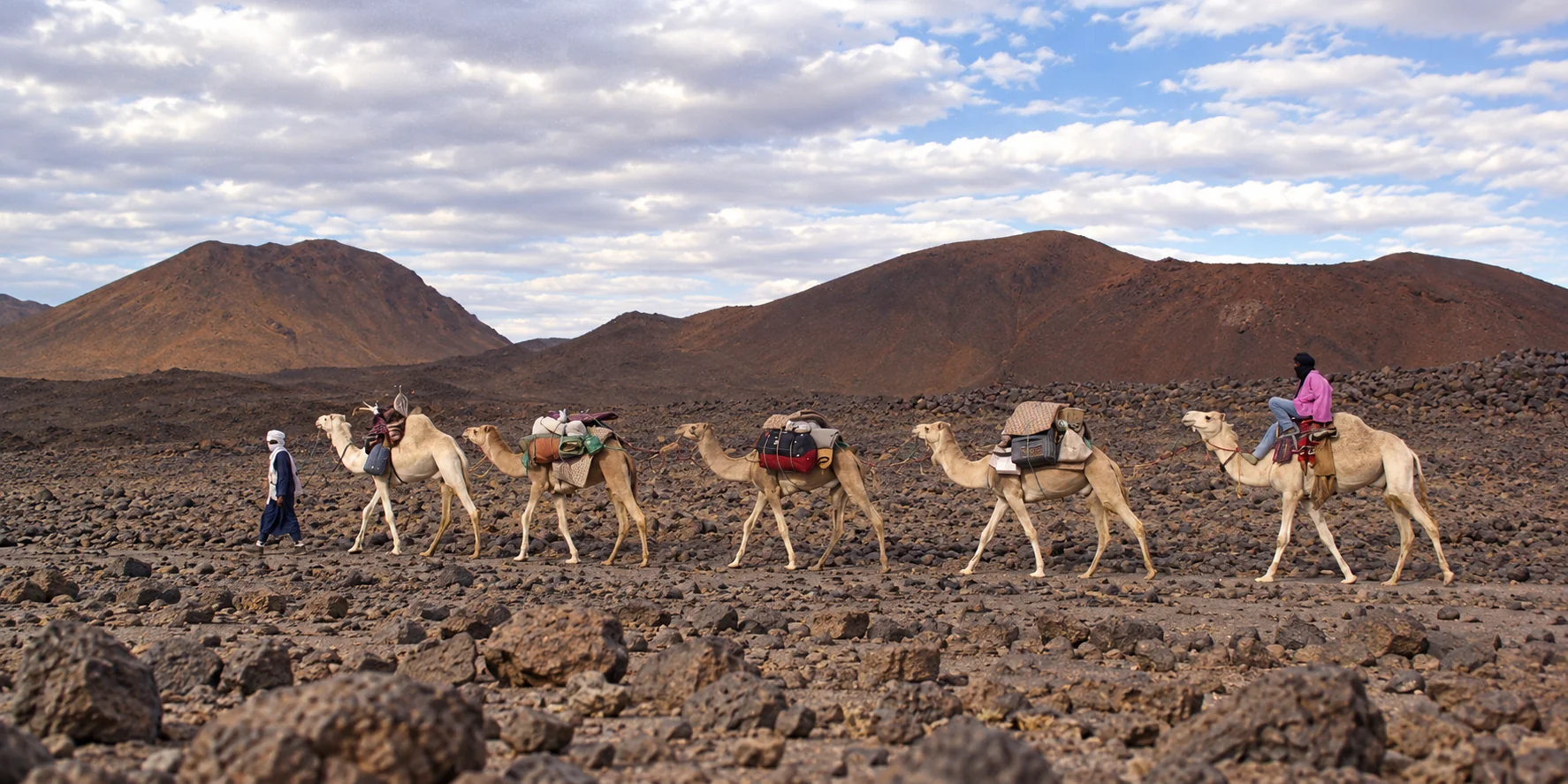 Une caravane de dromadaires menée par un chamelier dans les reliefs du Hoggar.