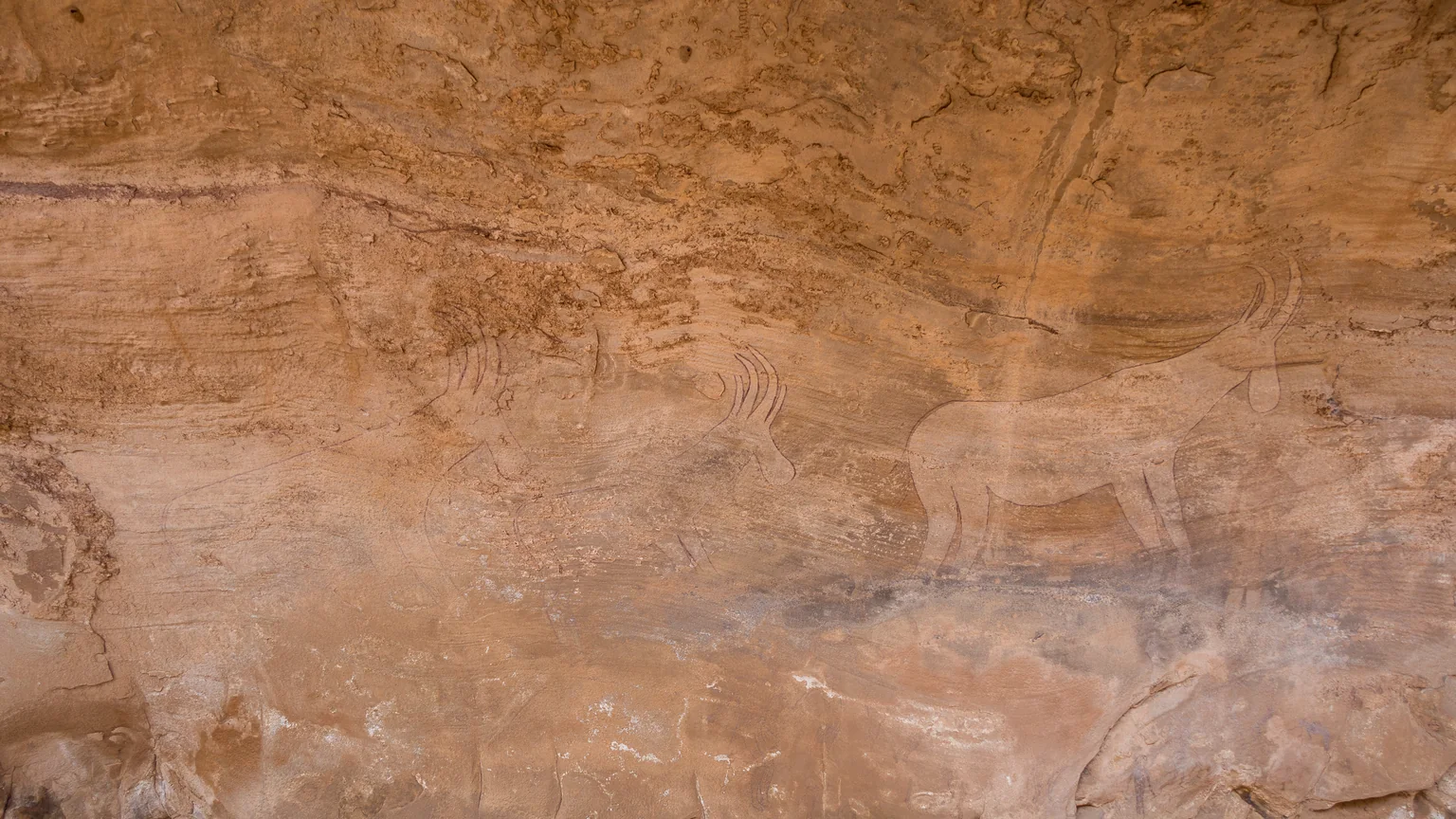 Le relief de grès au-dessus de l'abri du Grand Dieu à Séfar.