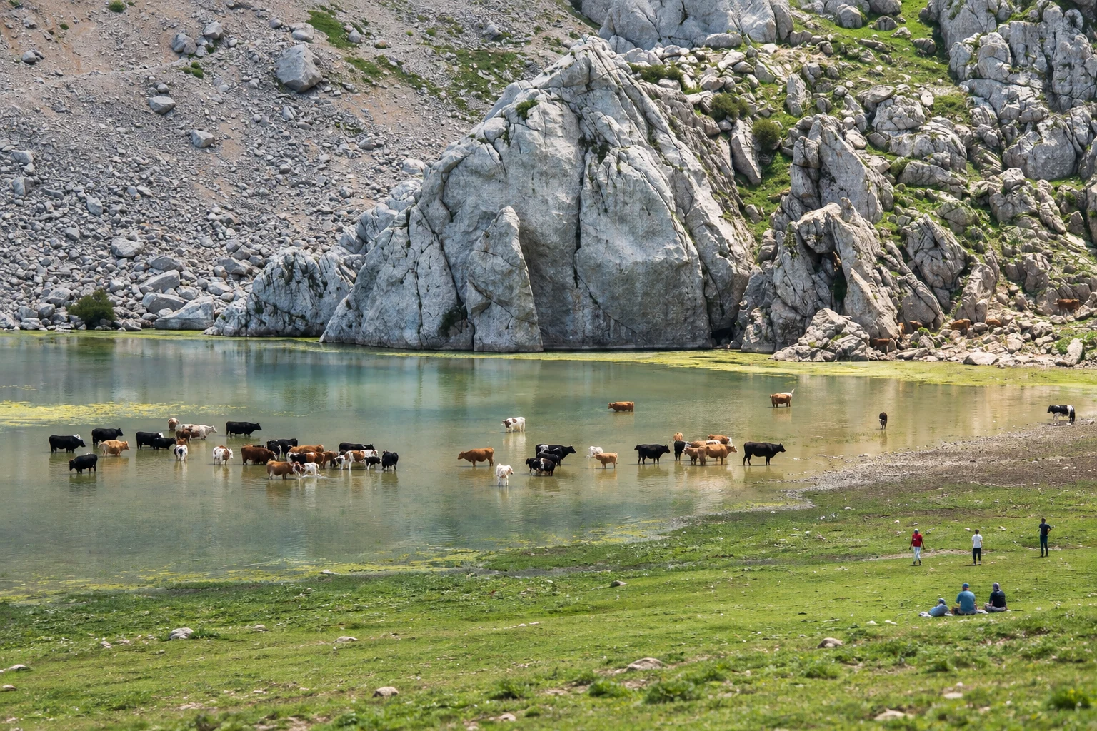 Vue du lac Aguelmim près de Tikjda, avec des bovins dans l’eau et des visiteurs dans la prairie.