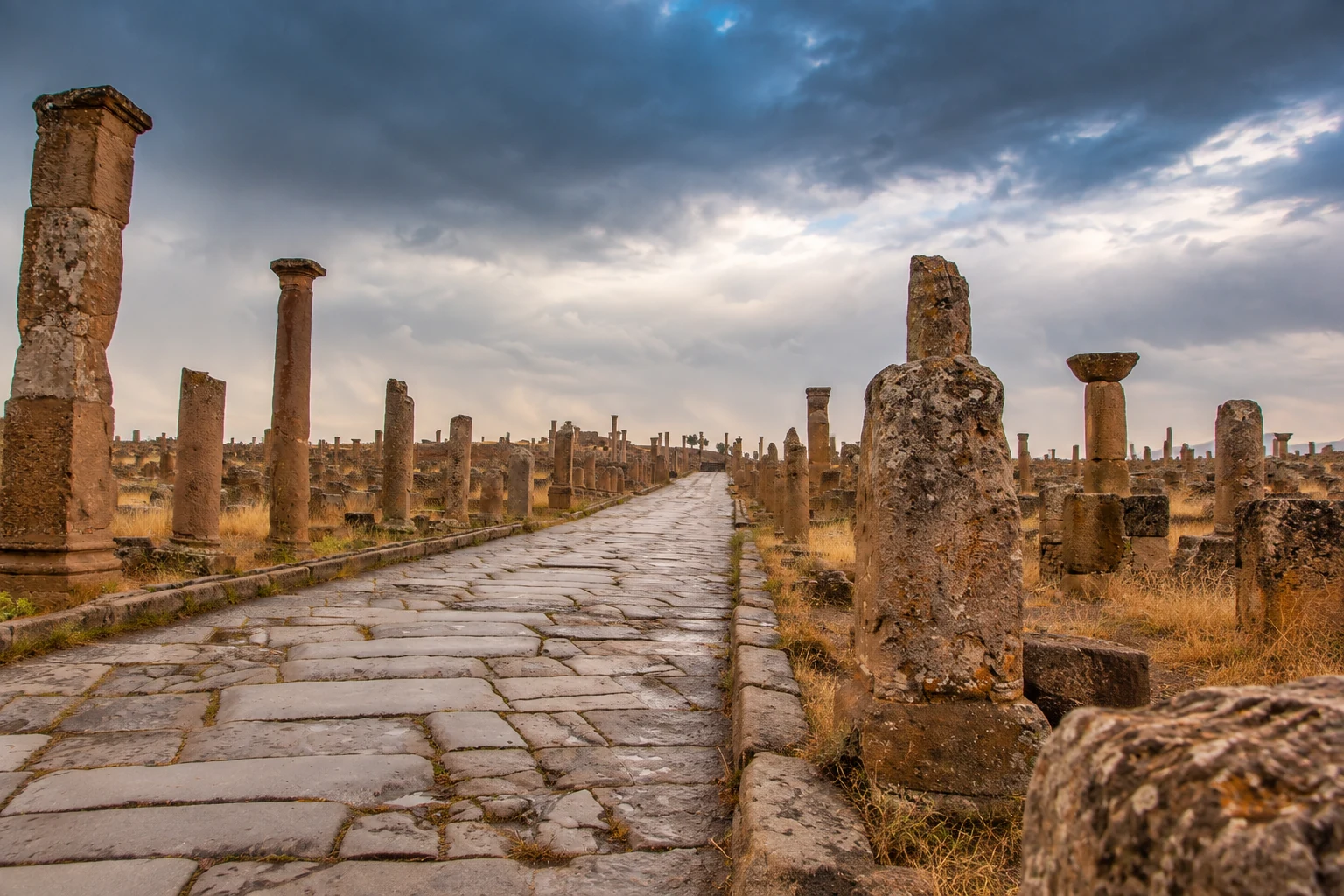 La voie pavée et les colonnes du site antique de Timgad.