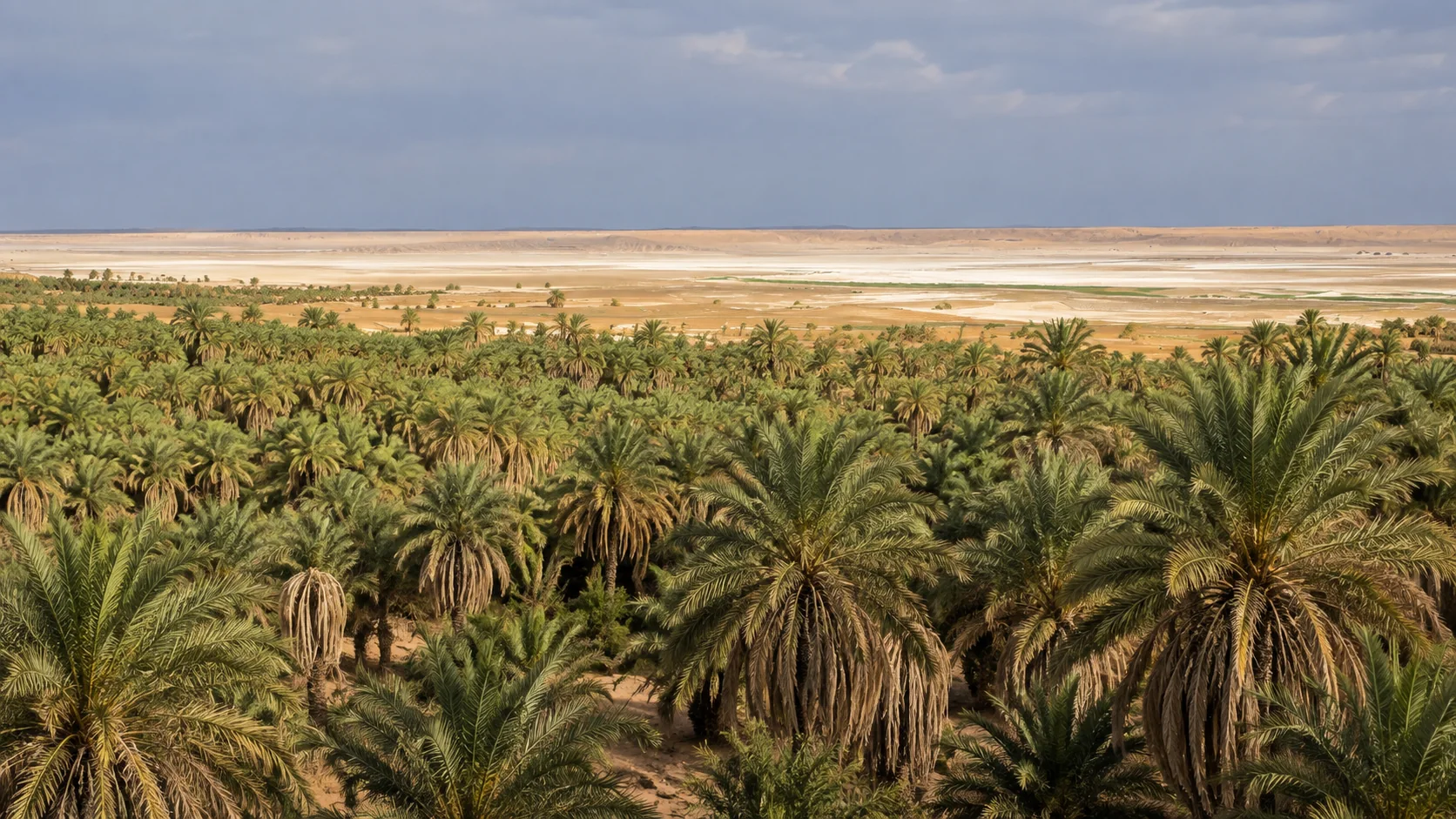 Illustration assistée par IA : Vaste palmeraie de Timimoun vue d’en haut, avec les salines du Gourara au loin.
