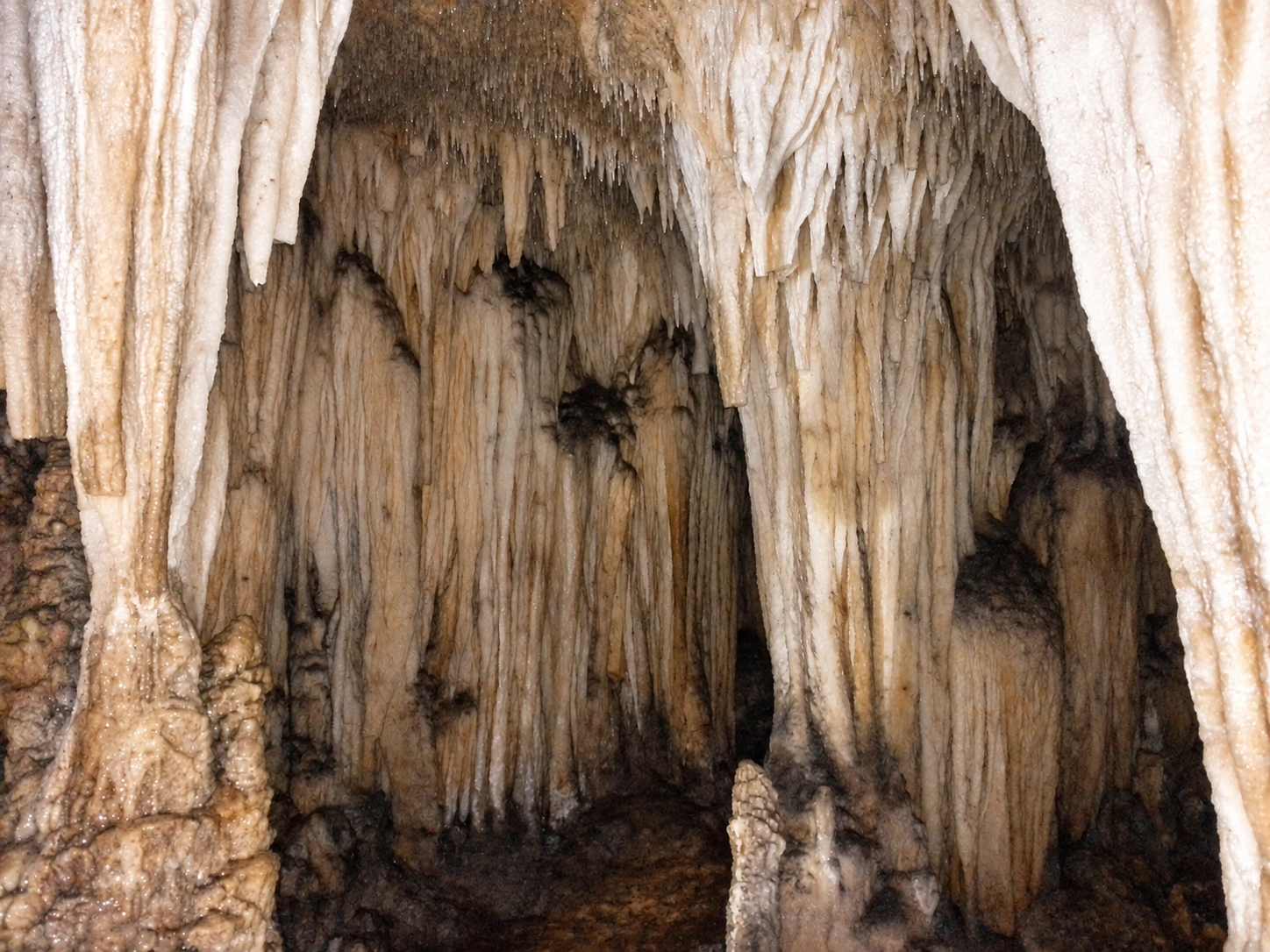 Les draperies de calcite des Grottes merveilleuses à Ziama Mansouriah, Jijel, dérivée de la photographie réelle de Tine hinane Mouzaoui.