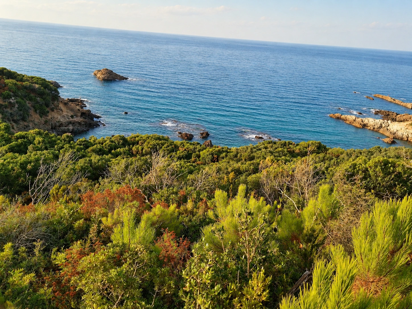 La côte rocheuse de Tamanart, maquis, rochers au large et Méditerranée, d’après Haroune Boulfoul.