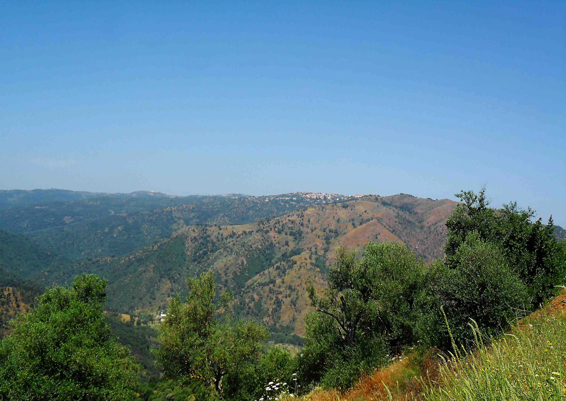 Village d’Agouni sur une crête, vu au-delà des versants arborés depuis la route d’Aït Lahcène, à Béni Yenni.