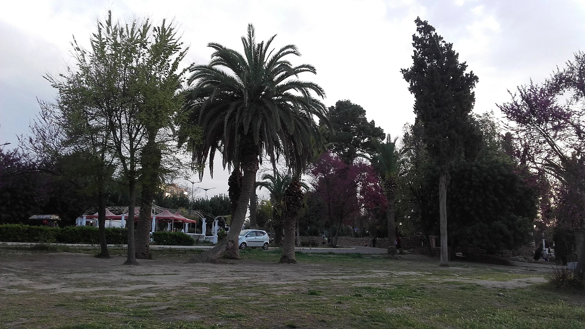 DA du jardin public de Sidi Bel Abbès, avec les palmiers et le pavillon réellement observés dans la photo de 2019.